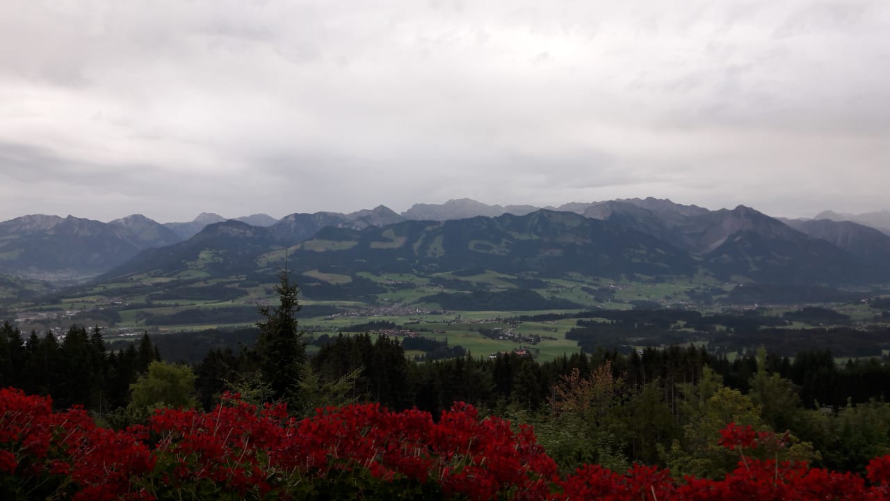 Ausblick Familotel Allgäuer Berghof