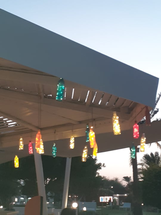 Sonstiges Desert Rose