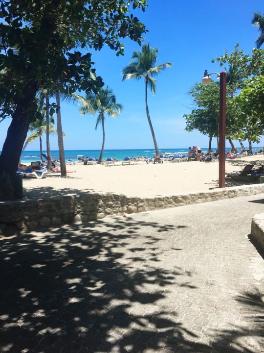 Gartenanlage Grand Paradise Playa Dorada