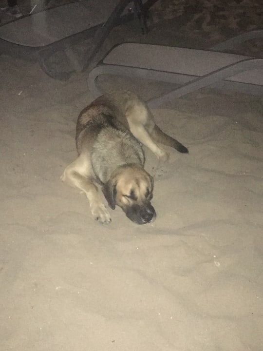 Sonstiges Aydinbey Kings Palace & Spa