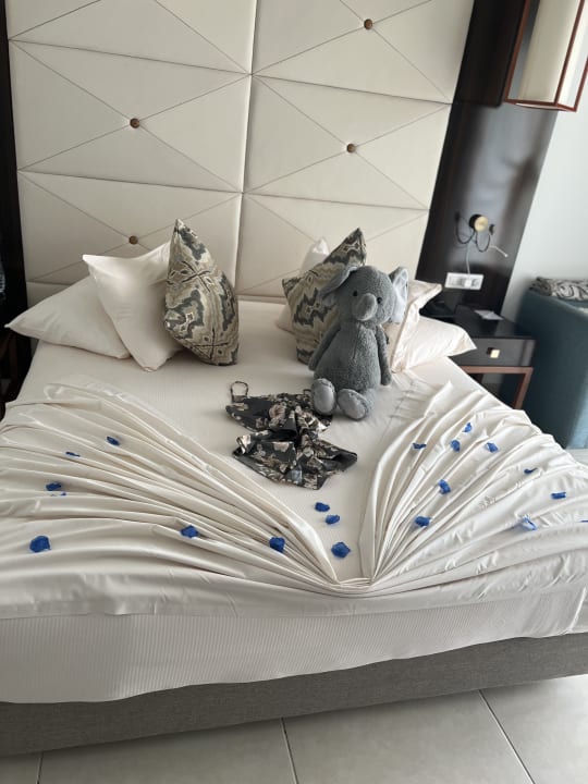 Zimmer Pickalbatros White Beach Resort