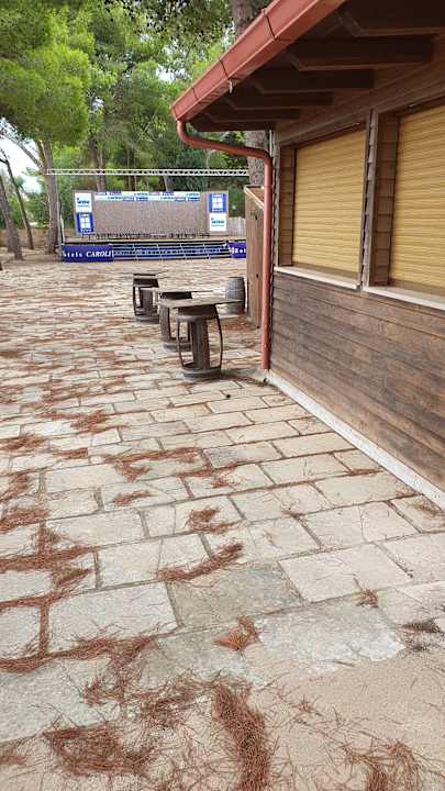 Gartenanlage Hotel Ecoresort Le Sirene