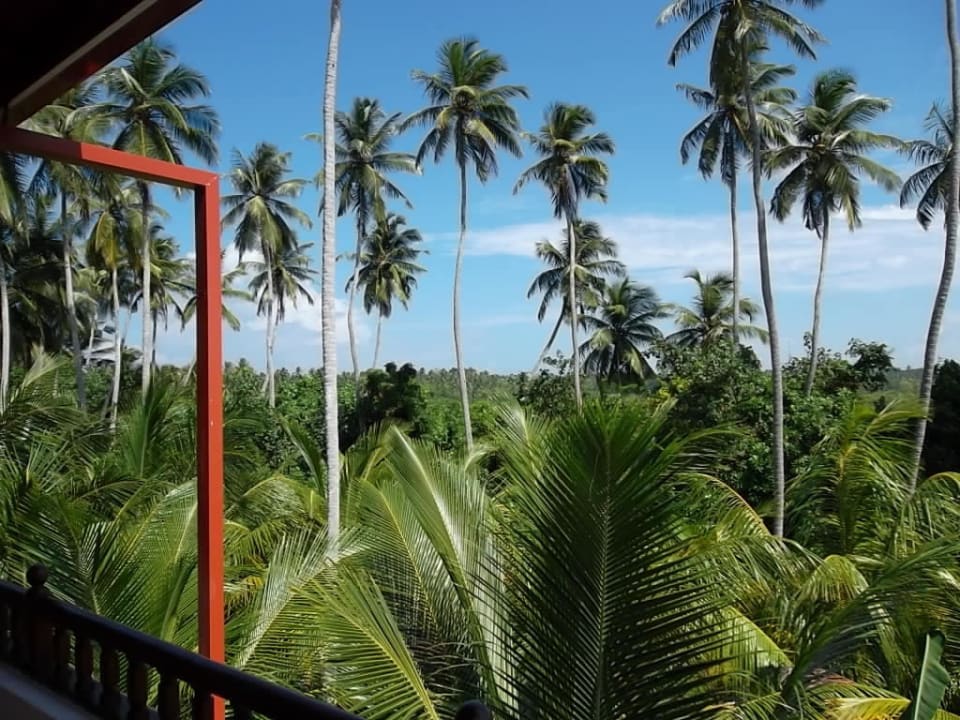 Blick nach aussen. Hotel Bentota Village