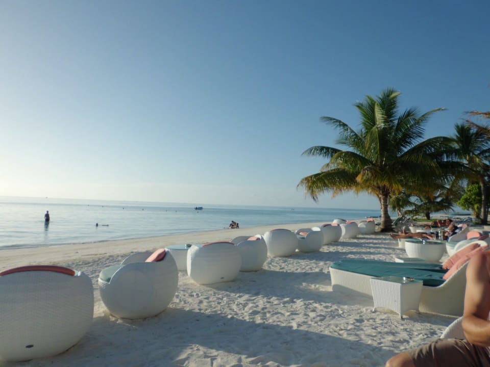 Poolbar  Meeru Maldives Resort Island