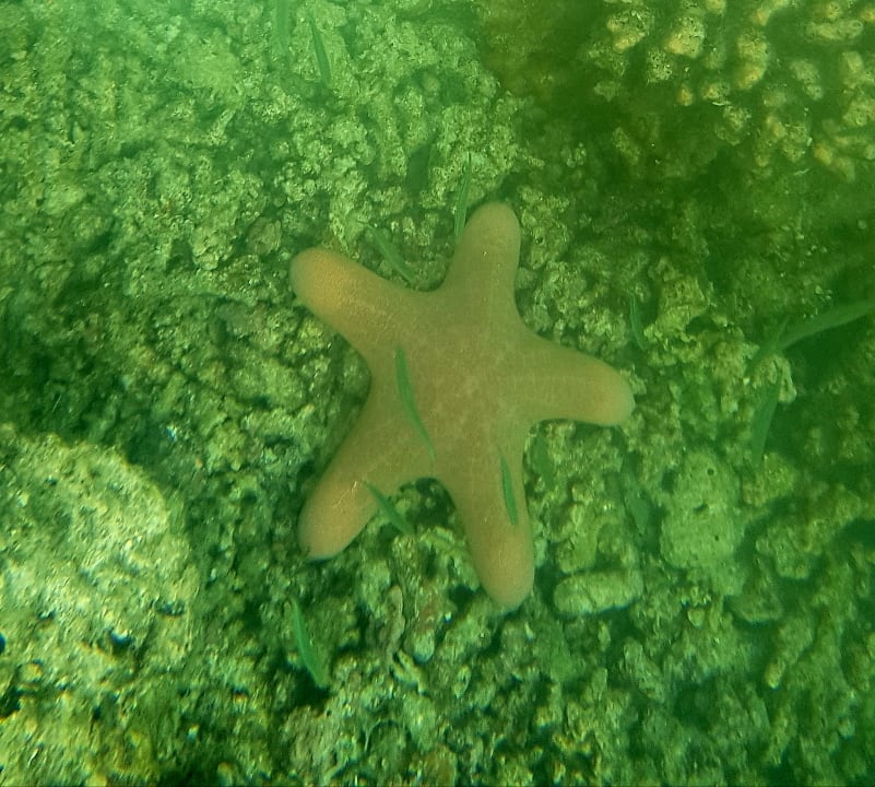 Sport & Freizeit Safari Island Maldives