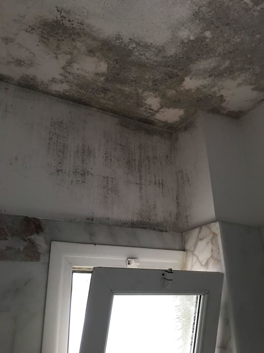 Schimmel Schmutz  Hotel Altinkaya