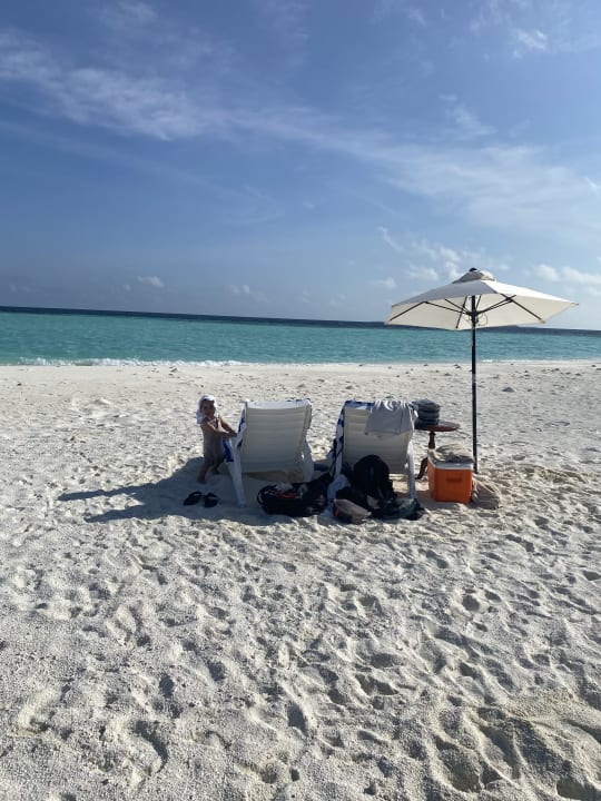 Strand Summer Island Maldives
