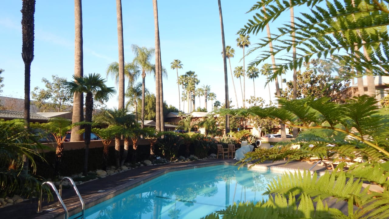 Pool Best Western Hotel Pine Tree Motel