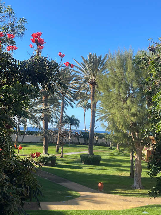 Ausblick ROBINSON JANDIA PLAYA