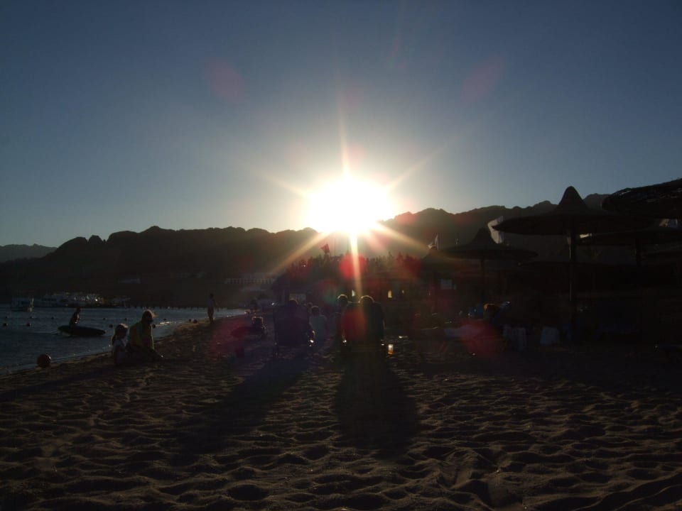 Sonnenuntergang JAZ Dahabeya
