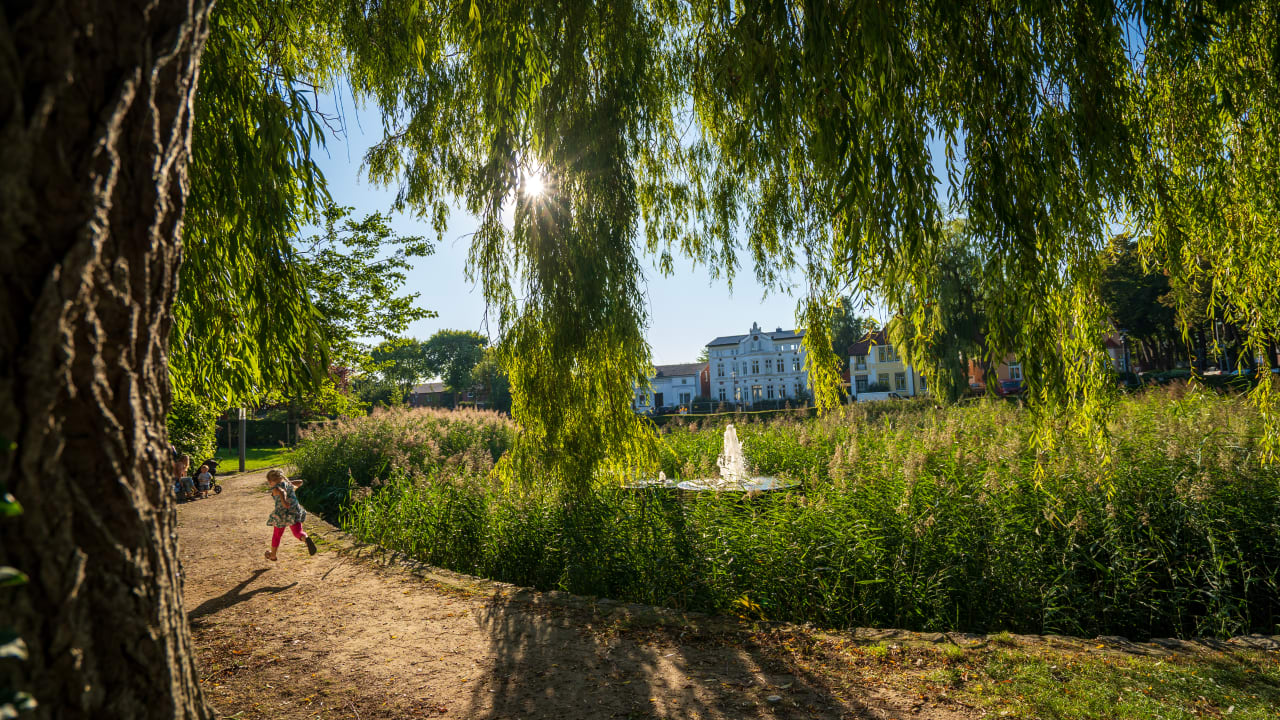Ausblick Villa am Schwanenteich