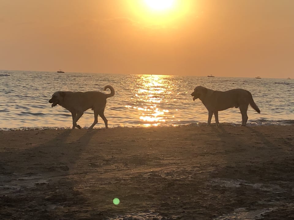 Strand Seaden Quality Resort & Spa