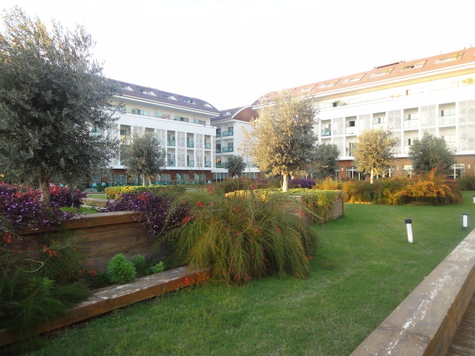 Dachterrassenbar Sentido Trendy Verbena Beach