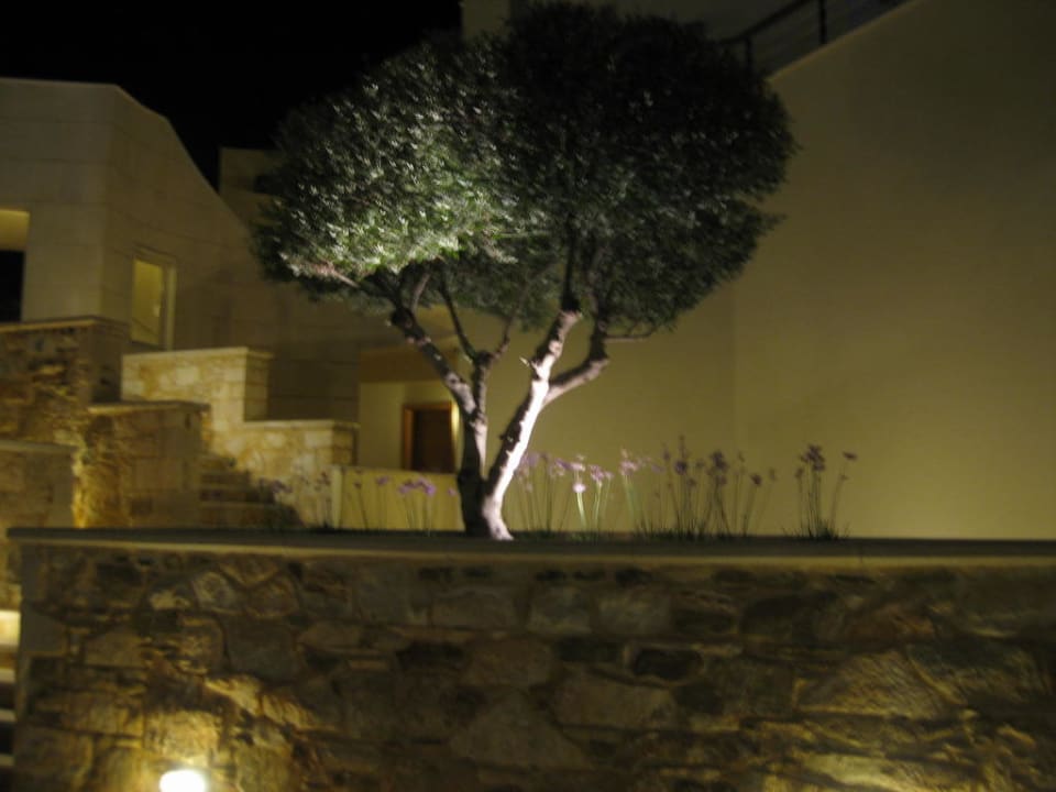 Aufgang zu den Zimmern Cretan Dream Resort & Spa