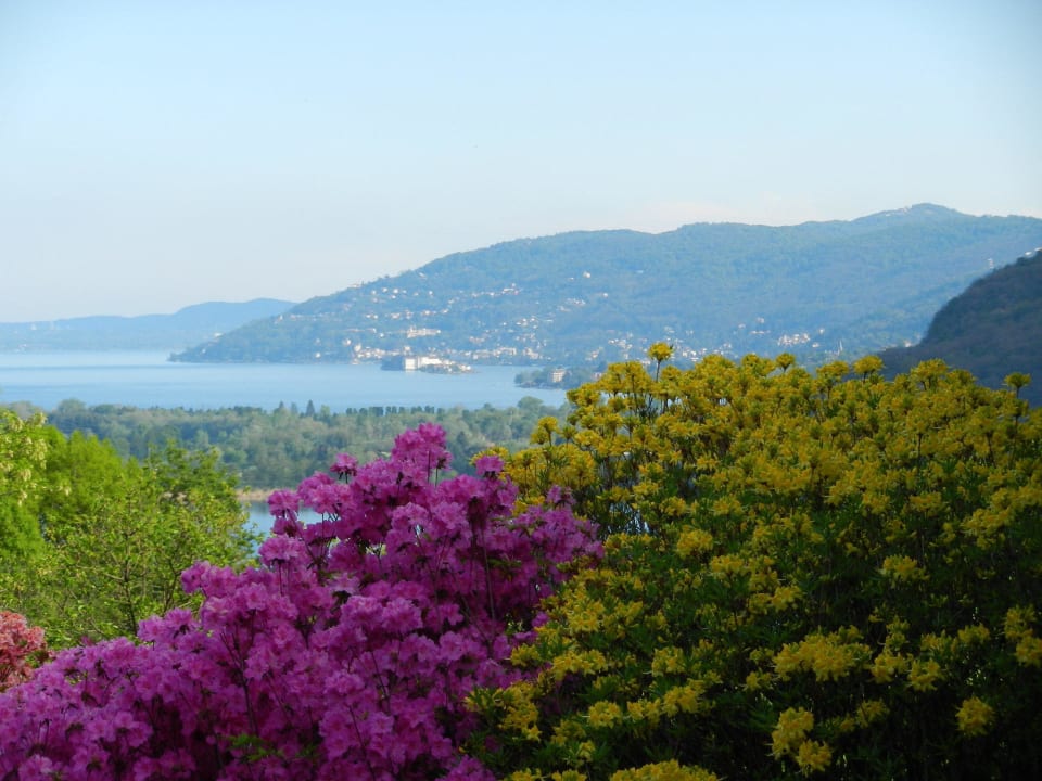 Terrazza colazioni Bed & Breakfast Il Picchio