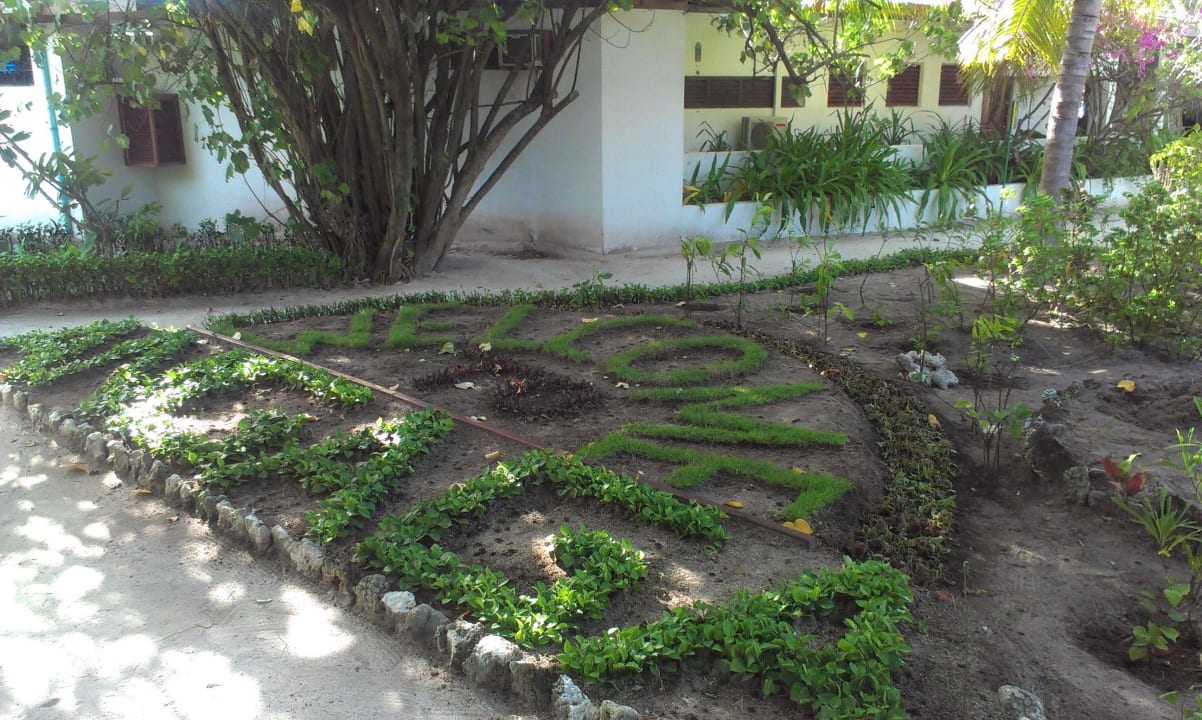 Neu angelegter Garten Angaga Island Resort