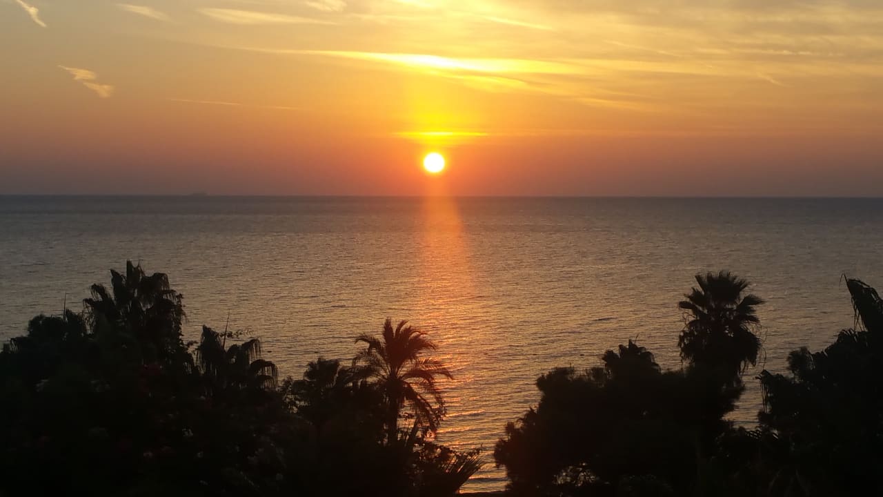 Ausblick TUI MAGIC LIFE Beldibi +16