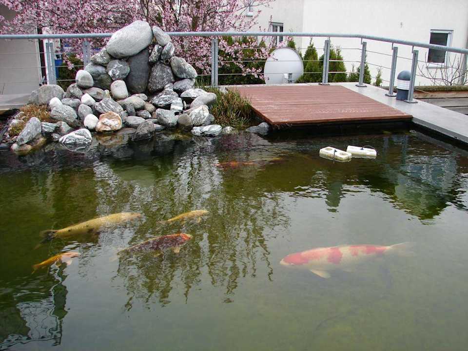 Koi-Pool auf der Terrasse Das Wildeck Hotel & Restaurant