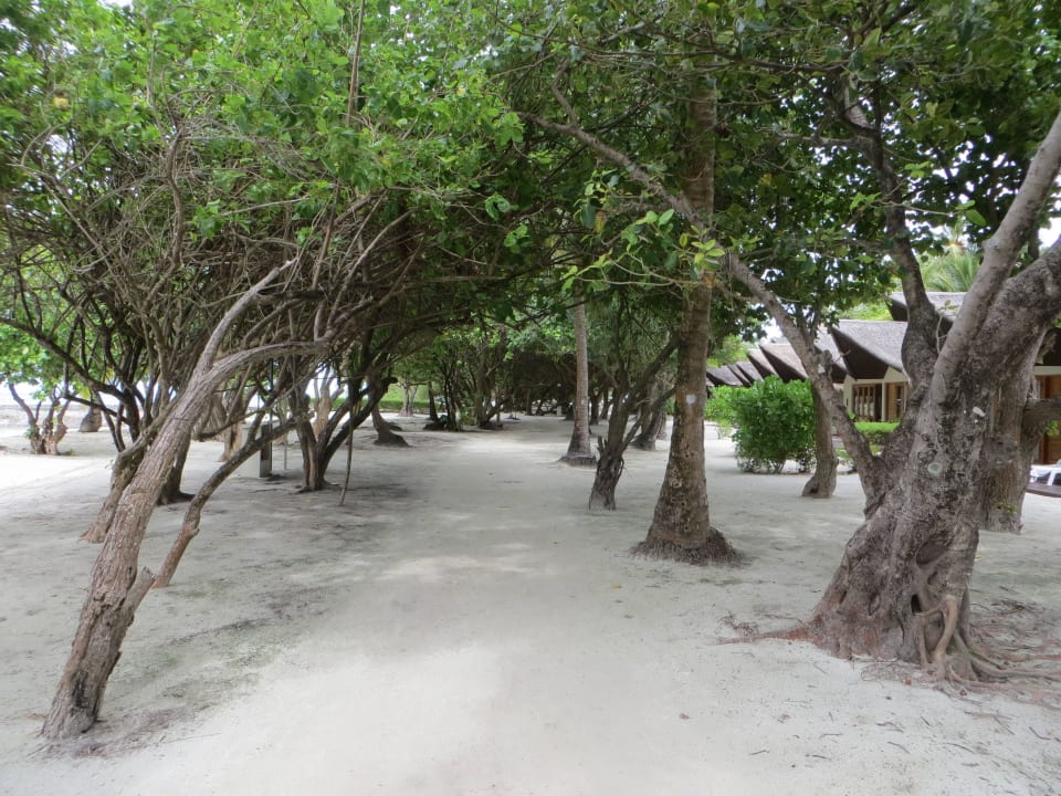 Spaziergang am Strand und den Beachvillen Adaaran Select Hudhuran Fushi - Premium All Inclusive