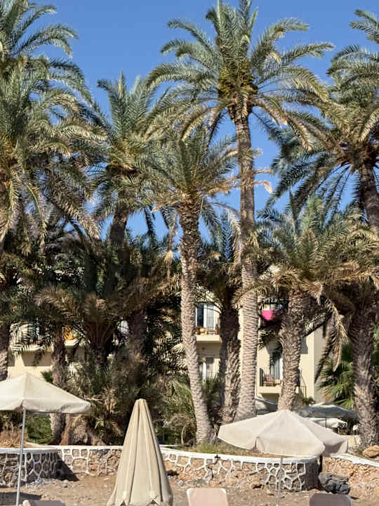 Strand Zeus Hotels Palm Beach