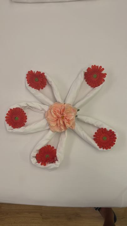 Zimmer Seashell Vega