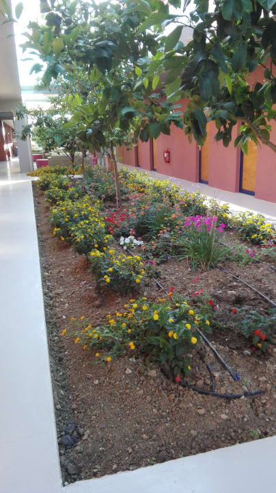 Lobby Harmony Boutique Resort