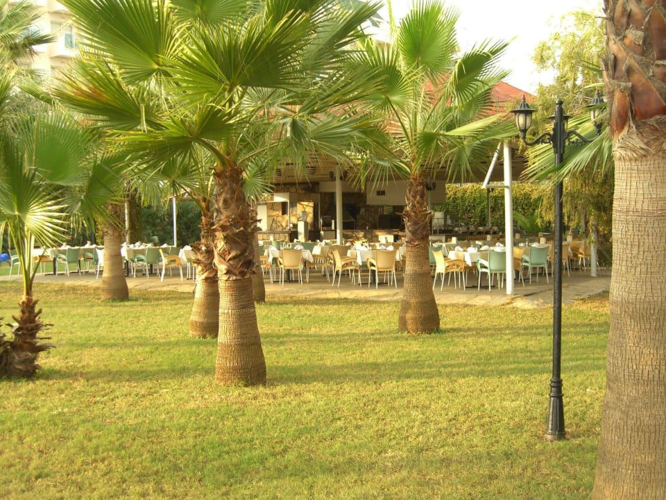 Mittagessen  Hotel Royal Garden Beach
