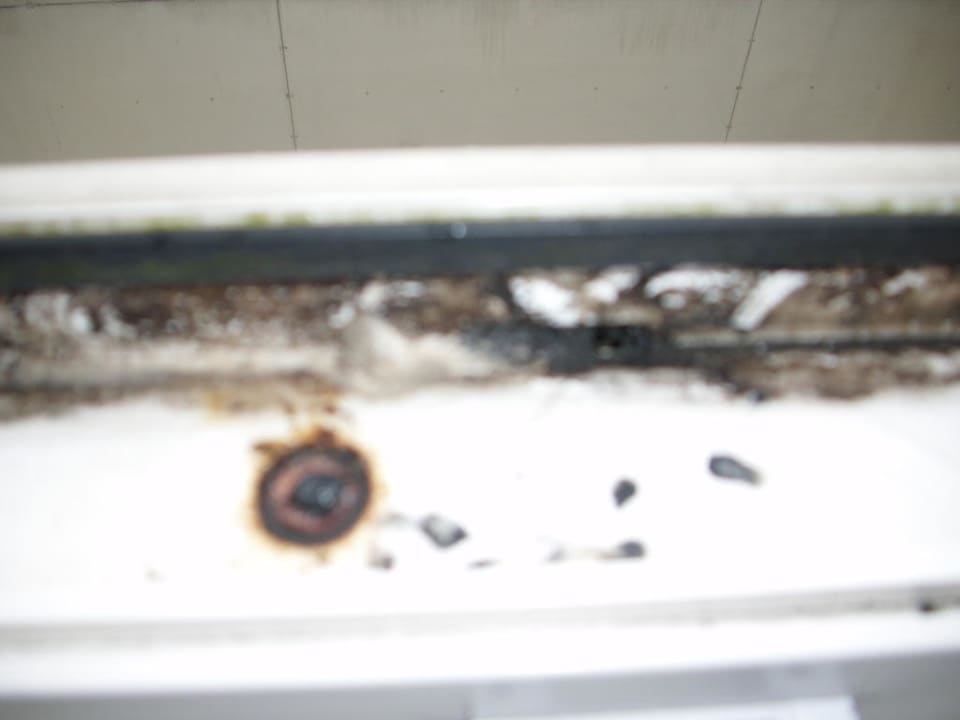 Fensterrahmen voller Schimmel Best Western Amsterdam