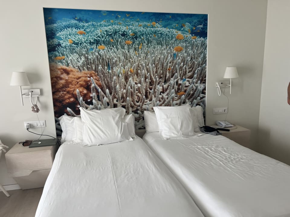 Zimmer Iberostar Selection Fuerteventura Palace