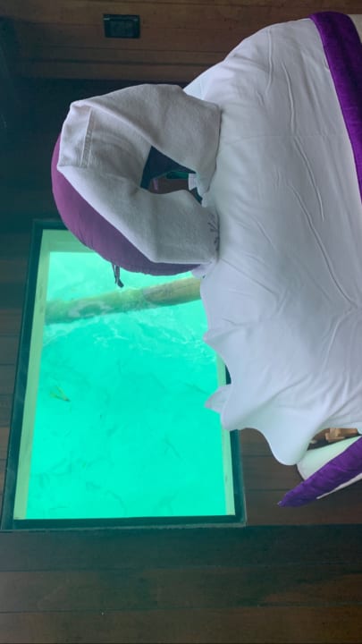 Sport & Freizeit Meeru Maldives Resort Island