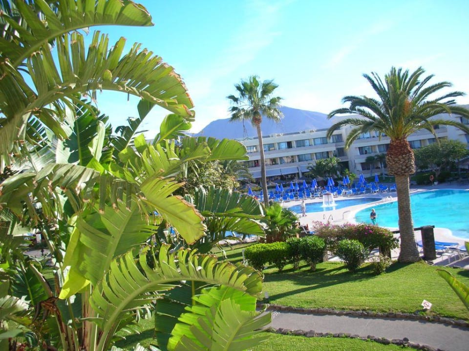 Pool Dreams Lanzarote Playa Dorada Resort & Spa