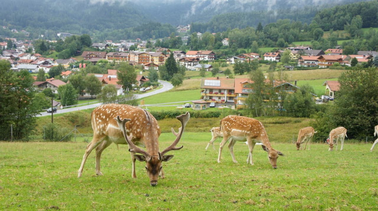 Blick auf Bodenmais-Hotel Bergknappenhof Hotel Bergknappenhof