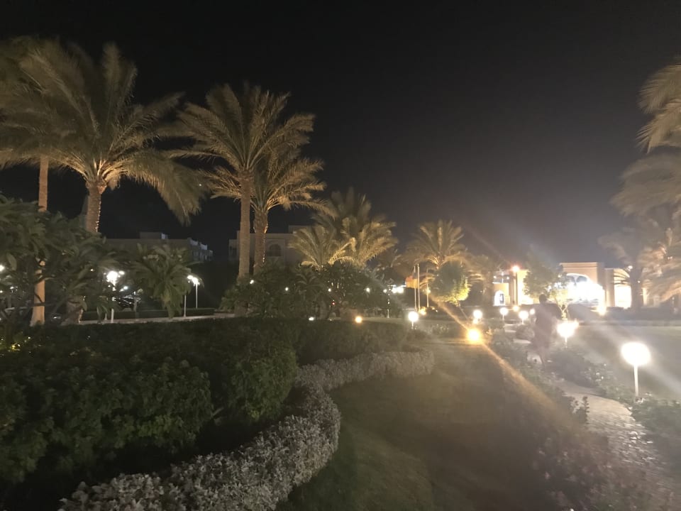 Gartenanlage Desert Rose