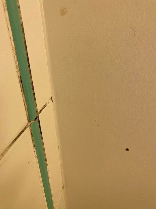 Zimmer Hotel Ibis Charleroi Gare