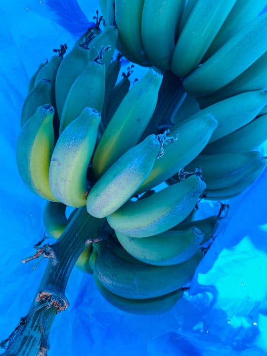 Sonstiges Blue Coral Beach Villas