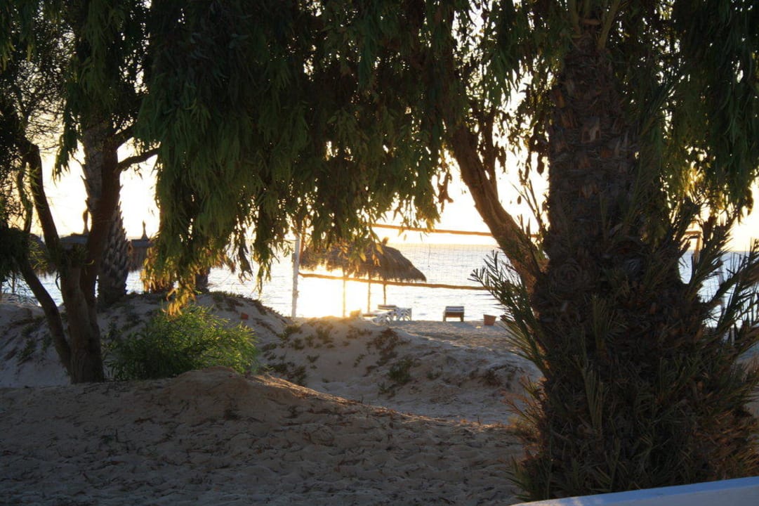 Strand am Morgen Hotel El Mouradi Djerba Menzel