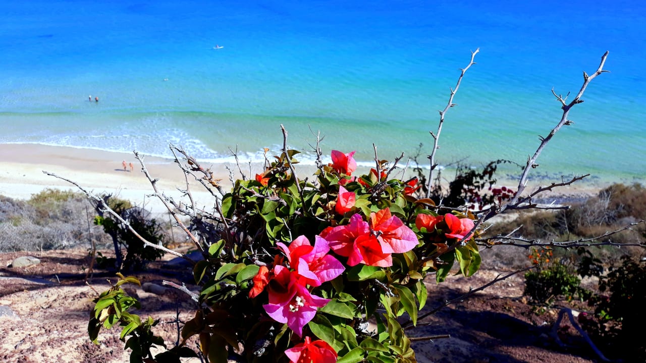 Ausblick SBH Club Paraiso Playa