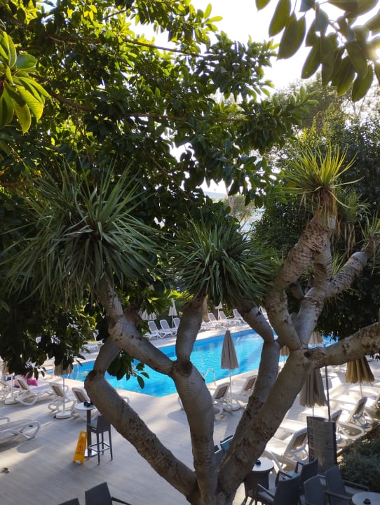 Ausblick Hotel Riu Festival