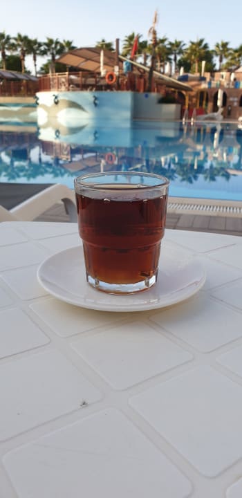 Pool Aydinbey Kings Palace & Spa