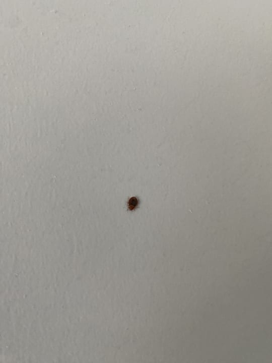 Zimmer Nemea Appart Hotel Elypseo Strasbourg Port