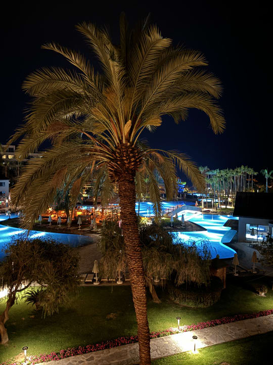 Ausblick Arum Barut Collection
