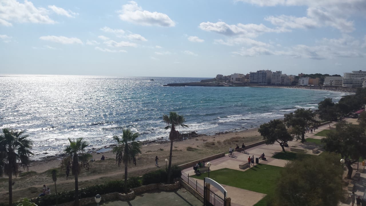 Ausblick Hotel Palia Sa Coma Playa