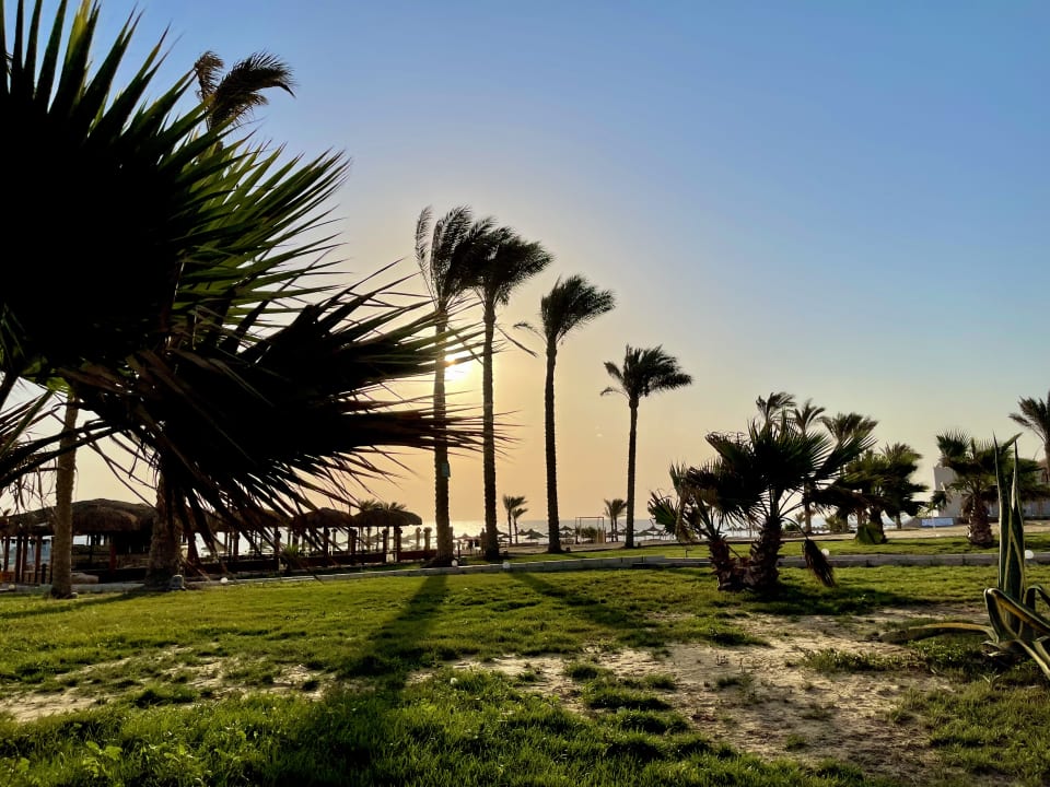 Gartenanlage Three Corners Sea Beach Resort