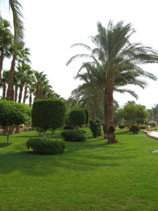 Garten Beach Albatros Resort