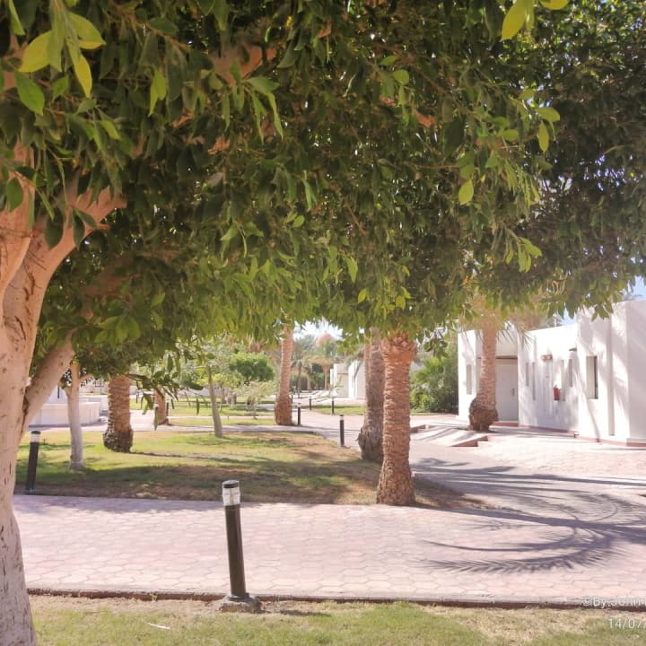Gartenanlage Pharaoh Azur Resort