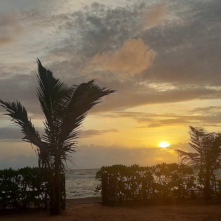 Ausblick Earl’s Reef Beruwala