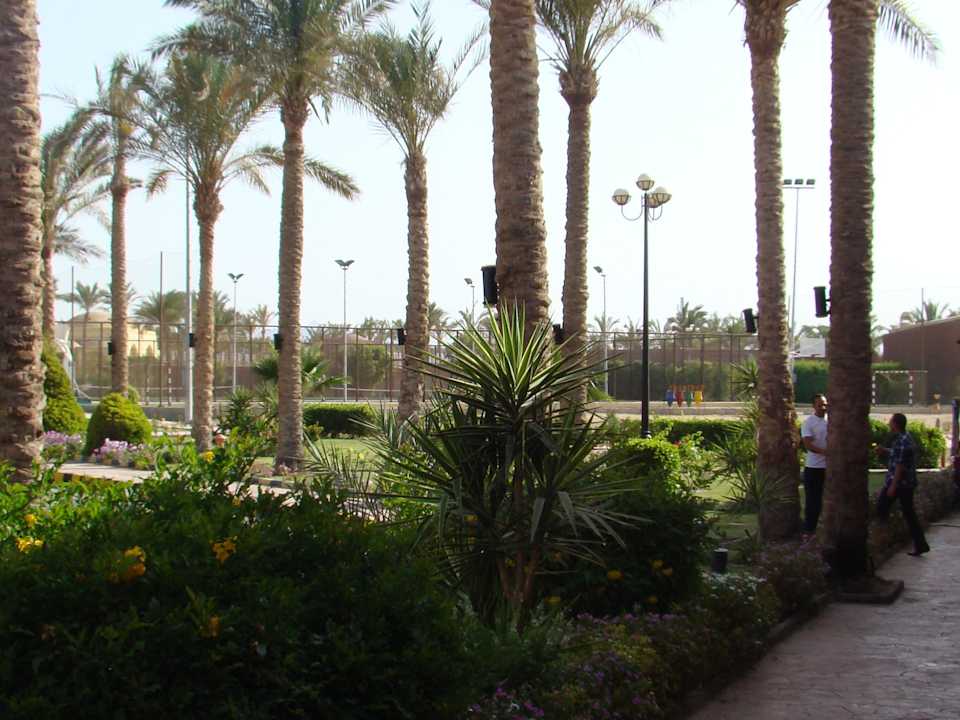 SENTIDO Oriental Dream Resort Swisstouch Oriental Resort Marsa Alam