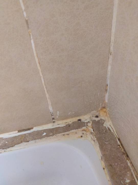 Zimmer Shams Safaga Resort