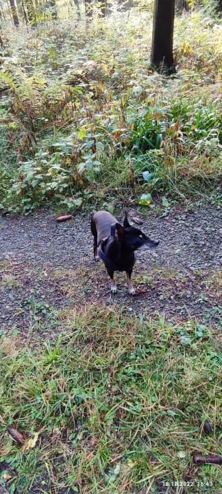 Ausblick Berghotel Hoher Knochen