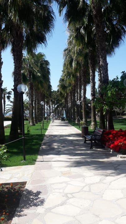 Weg zum Strand  Arum Barut Collection